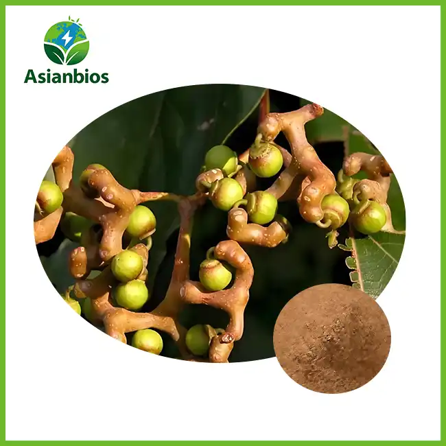 Hovenia Dulcis Fruit Powder